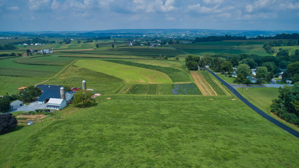 Aerial view of green farmlands and rolling crops growing on a beautiful sky on a sunny countryside