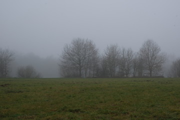 Obraz premium Landschaft