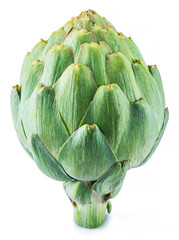 Fototapeta premium Artichoke flower edible bud isolated on white background.