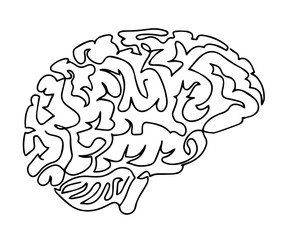 human brain sketch in black and white