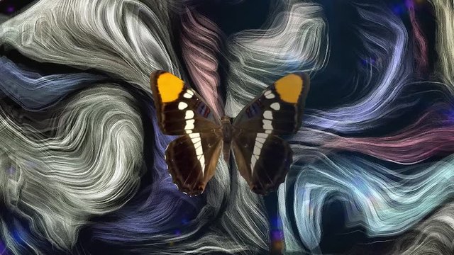Butterfly on painted abstract background