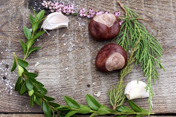 Wooden background of ingredients. Gifts of Autumn season.Frame of ecology clean herbs