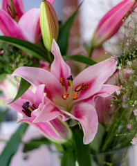 Fototapeta premium Flowers in vas, flowers in tree, spring flowers 