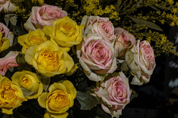 Rose flowers, Rose flowers in vas