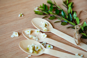 Fototapeta premium eco-friendly, disposable tableware, without plastic, spoons