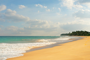 Indian ocean sand long beach landscape view with palms, Sri Lanka island