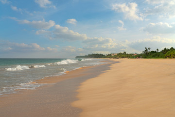 Sand sea beach with blue sky and palm trees, Sri Lanka