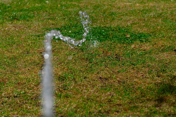 A stream of water irrigates a green lawn