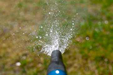 A stream of water irrigates a green lawn