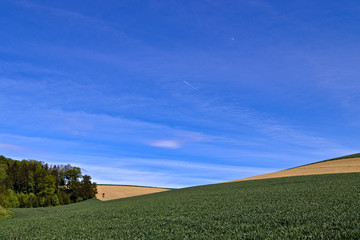 rural landscape with blue sky