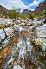 Fototapeta na wymiar Sabino Creek Flows Through Bear Canyon, Sabino Canyon Recreation Area, Tucson, Arizona, USA