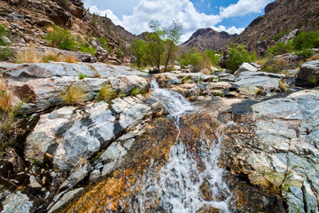 Obraz premium Sabino Creek Flows Through Bear Canyon, Sabino Canyon Recreation Area, Tucson, Arizona, USA