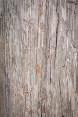 the texture of the wood surface covered with red paint is aged wood.