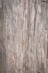 Fototapeta premium the texture of the wood surface covered with red paint is aged wood.