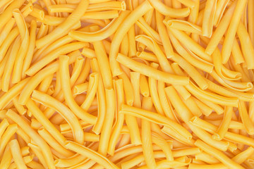 Bucatini Italian pasta