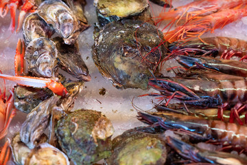 Shrimps sea food and oysters shells on ice