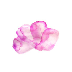 Purple watercolor petals background