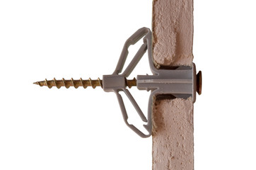 Grey plastic butterfly-type dowel fixed in pre-drilled hole in sheet of moisture-resistant drywall, view in section of end of sheet, can see gypsum fiber and  connection. Isolated on white background.