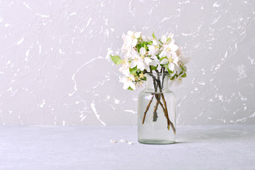 Spring branches of a blossoming apple tree in a glass jar