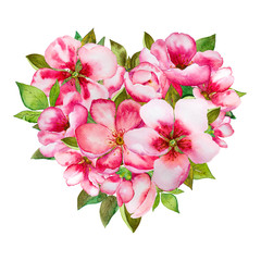 Colorful mother's day heart with pink blossom and green leaves isolated on white