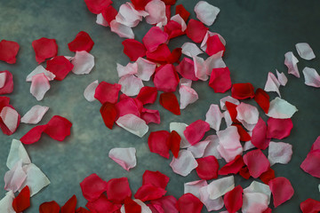 作り物の薔薇の花びら