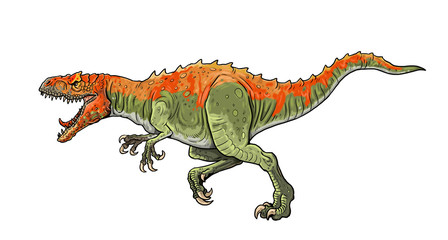 Naklejka premium Carnivorous dinosaur - Allosaurus. Dino isolated drawing. 