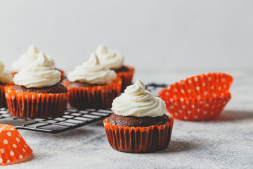 Chocolate cupcakes with cap of cheese cream