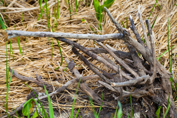 old wooden fence