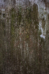 Obraz premium Rusty grunge texture