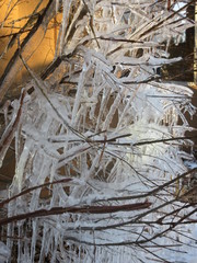 Frozen water
