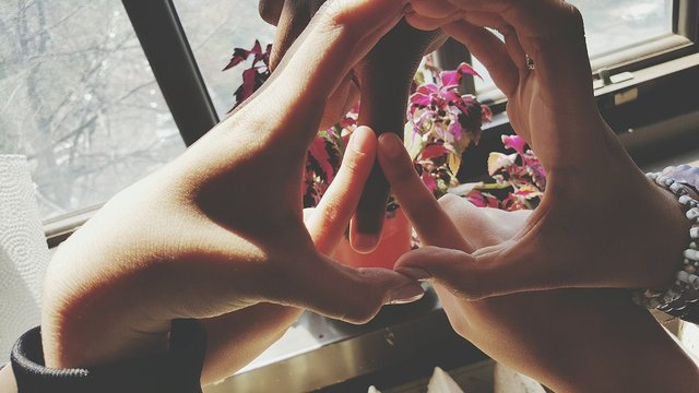 Cropped Image Of Friends Making Peace Logo By Window At Home