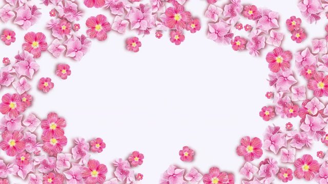 Pink Floral copy space background. Flowers blooming. Isolated on white background. Hydrangea and abutilon