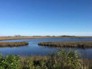wetlands
