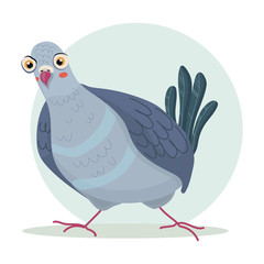 Cute doodle icon of pigeon. Flat cartoon character design. Vector stock illustration of city bird dove. Urban fauna, feathered wildlife isolated on white background.