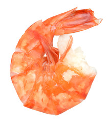 Shrimp