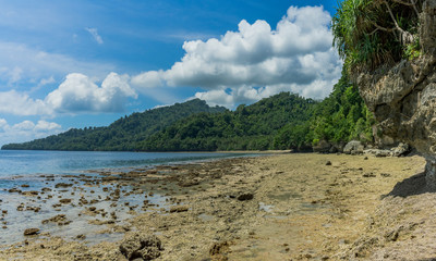 Wild remote untouched beach scene on low tide many corals and rocks visible next to lush jungle and hills in Banda Besar