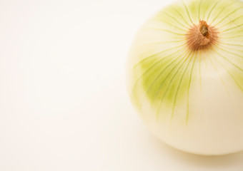 Fresh and natural ground white onion or onion powder.