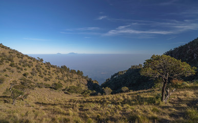Distant views to many other volcanoes seen through ravine on Lawu volcano summit in early morning in Java, Indonesia