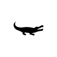 Crocodile Silhouette On White Background