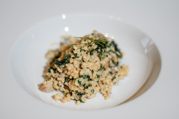 fresh salad on white plate