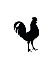 Rooster Silhouette on White Background