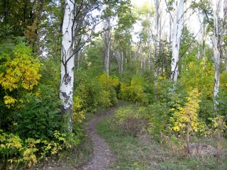 path in the park