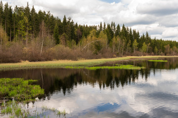 Fototapeta na wymiar Rubner Teich am Tannermoor
