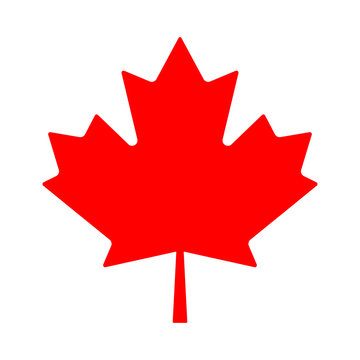 Silhouette of the maple leaf. Canadian symbol