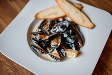 grilled mussels with garlic on table