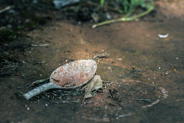 Broken spoon
