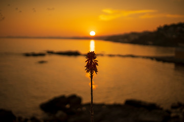 atardecer