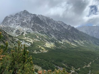 mountain landscape in the alps