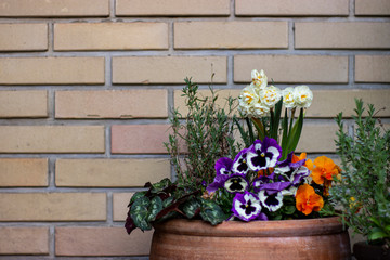 Fototapeta na wymiar floral composition on the background of a brick wall