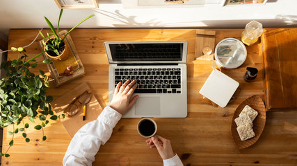 Wooden desktop top view, woman designer hands using laptop and holding a cup of coffee. Freelancer working place - houseplants, cookies, picture on the wall, sketchbook, vintage book. Work from home.
